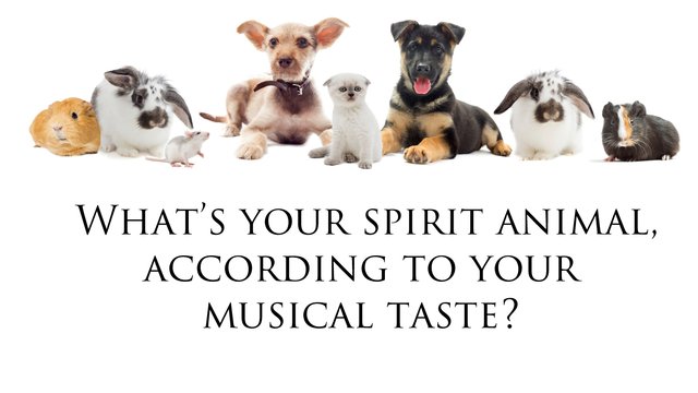Quiz: what's your spirit animal, based on your musical taste? - Classic FM