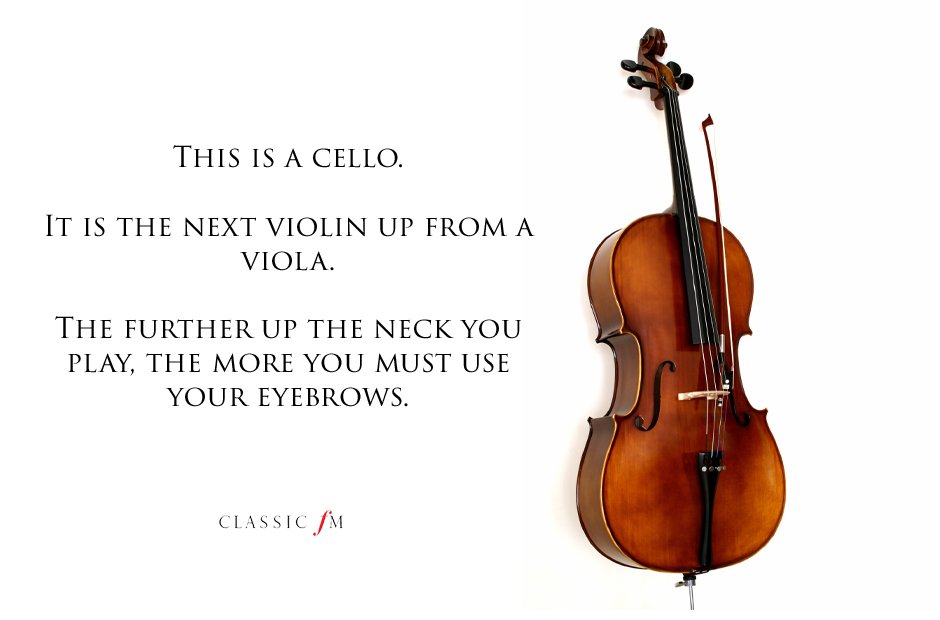 cello Musical instruments explained: a beginner's 