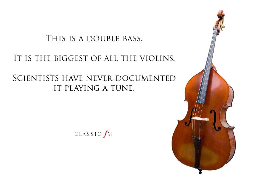 double bass Musical instruments explained: a begin