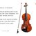 Image 4: violin Musical instruments explained: a beginner's