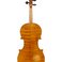 Image 6: St Mark violin