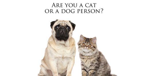 Cat or dog person quiz