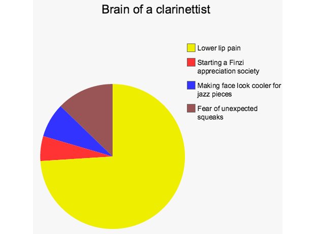 musician brains pie chart