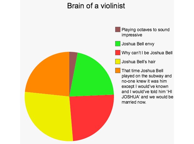 musician brains pie chart