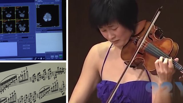 bach violinist brain