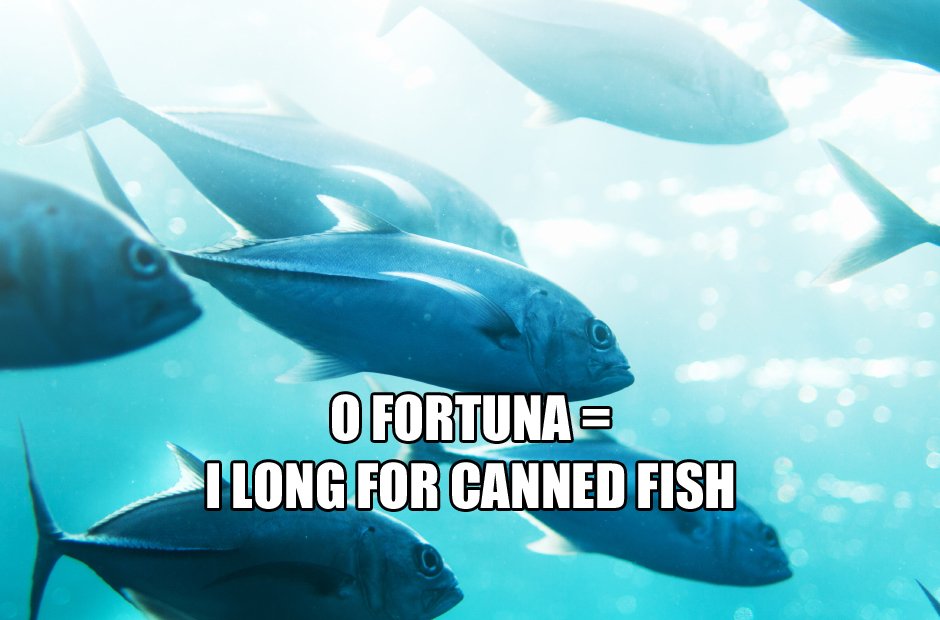 O Fortuna Masterpieces of classical music, translated Classic FM