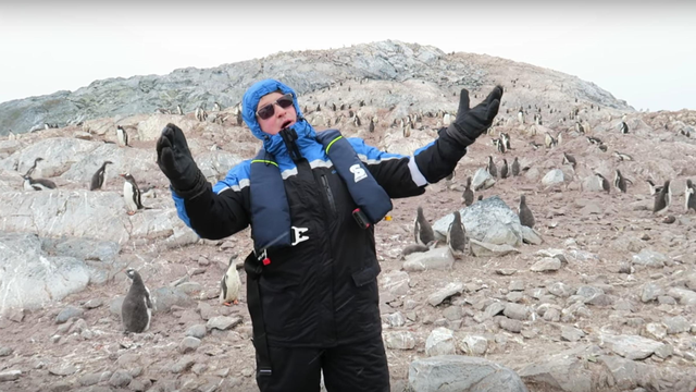 penguins run away from opera singer