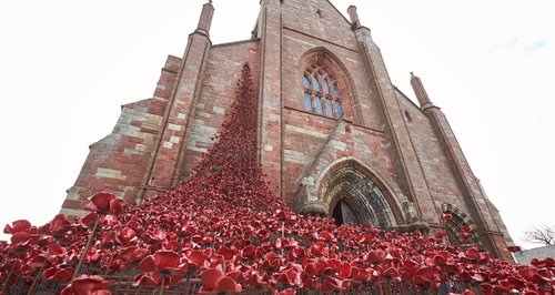 Poppies Kirkwall St Magnus