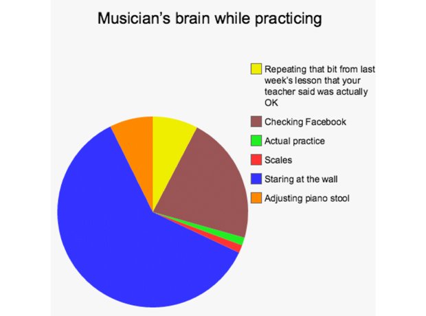 Musicians brains in everyday situations