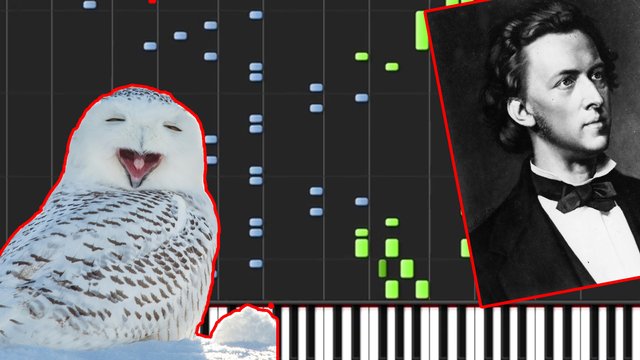 Harry Potter Hedwig theme
