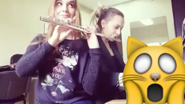 Mozart flute duet