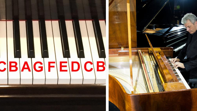 Left-handed piano Christopher Seed