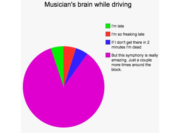 musician pie charts