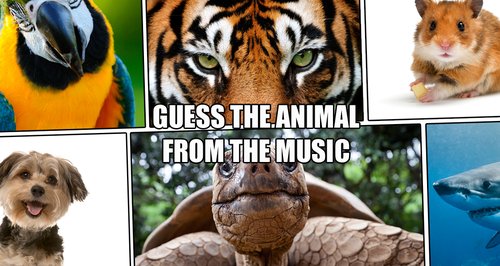 Quiz: can you guess which animal this music represents? - Classic FM