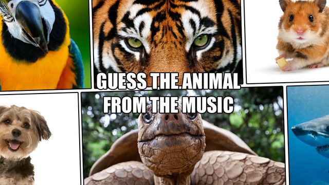 performer patrulje Ambitiøs Quiz: can you guess which animal this music represents? - Classic FM