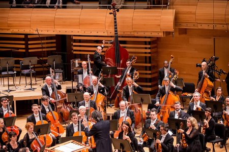 Montreal Symphony Orchestra's octobass 