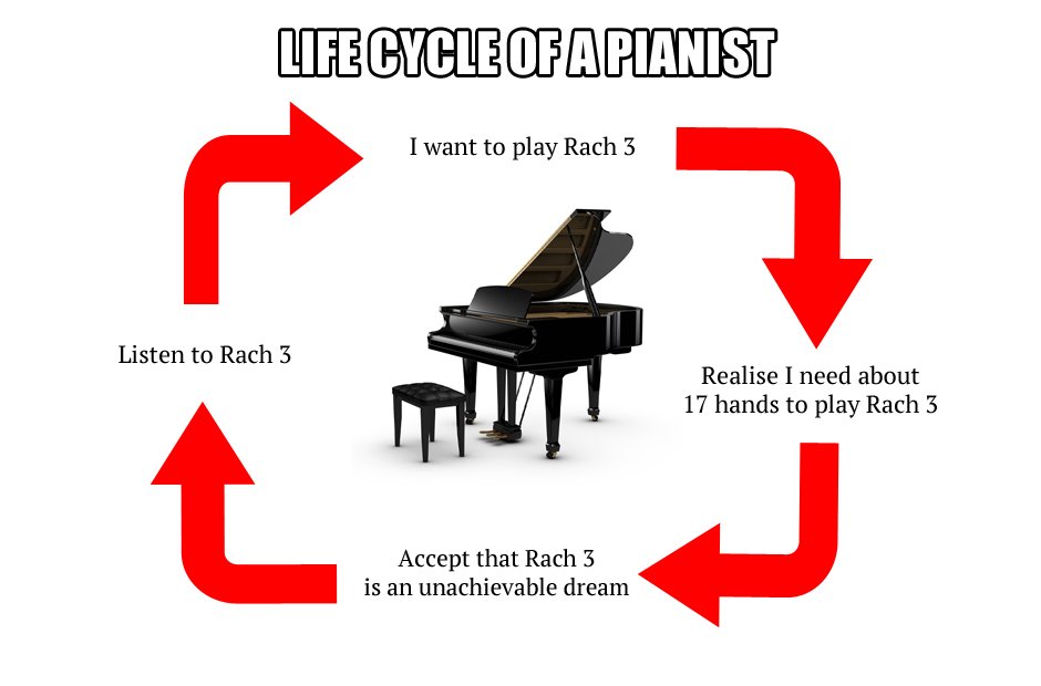 musician life processes