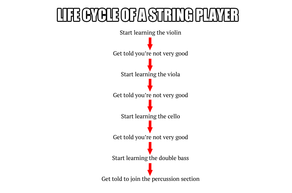 musician life processes