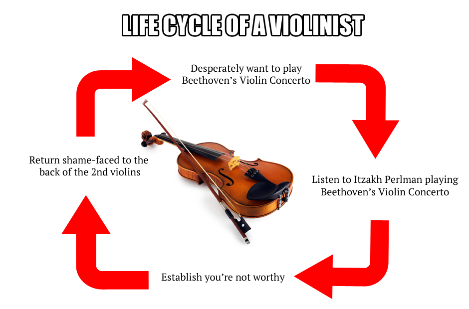 I play violin in the college