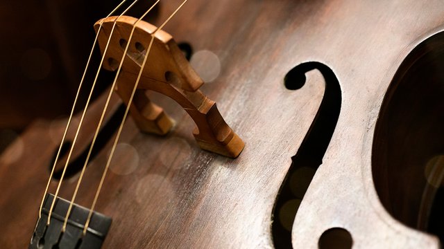 What are stringed instruments? Meet the members of the string