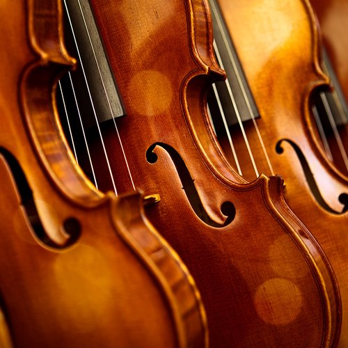 Violin - Instruments - Discover Music - Classic