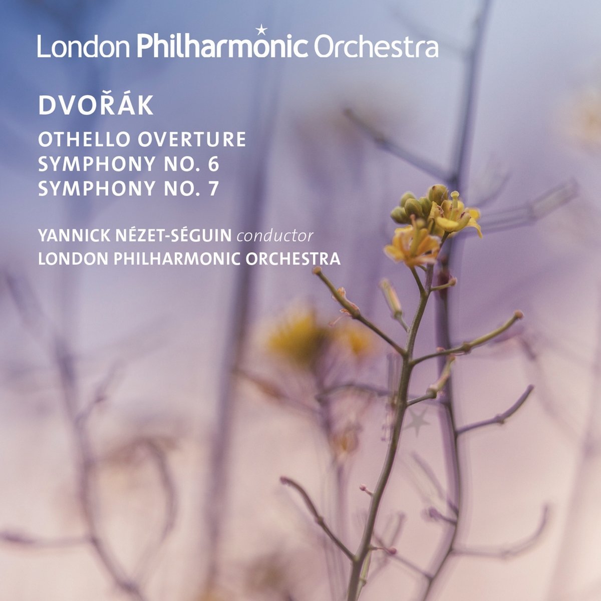 LPO Dvorak