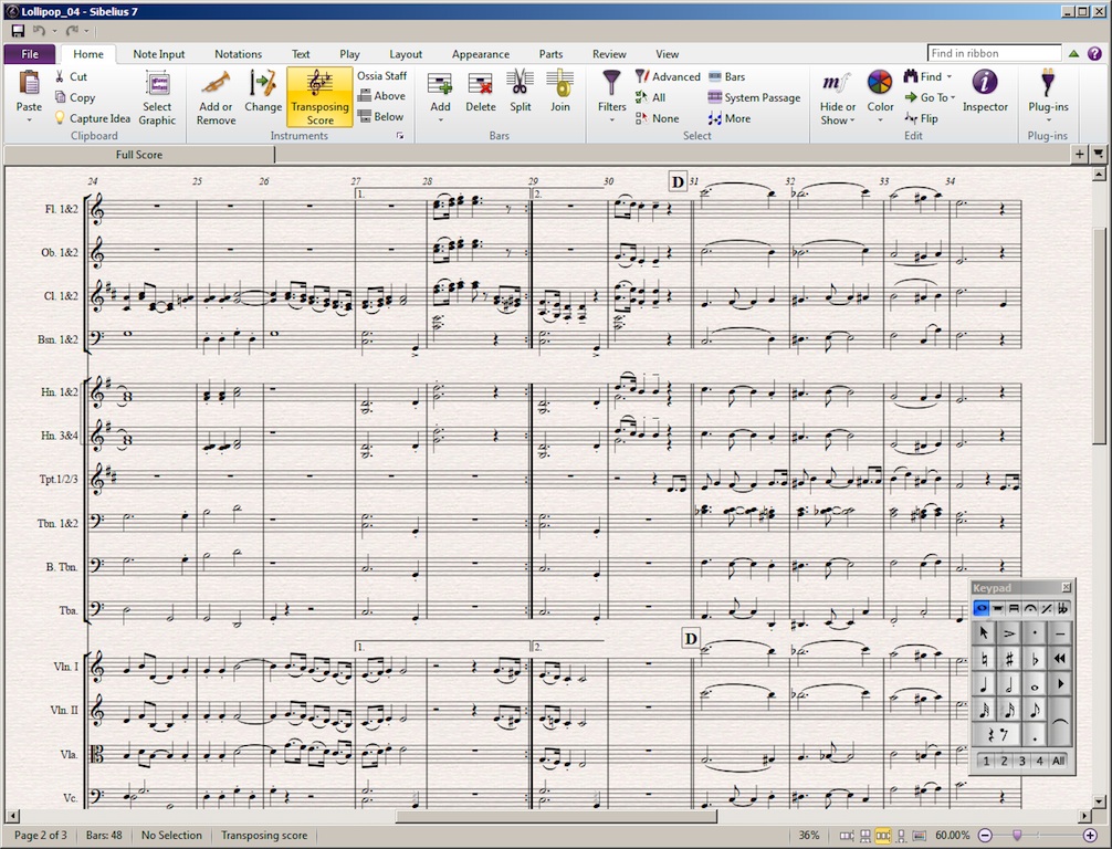 Sibelius 7 screen