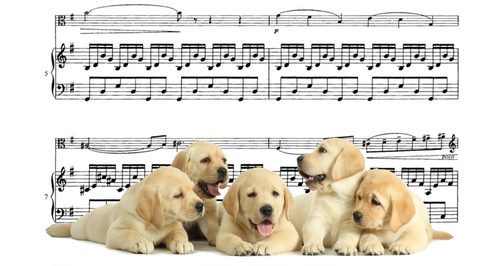 Quiz Can You Name The Animal Represented In The Music Classic Fm