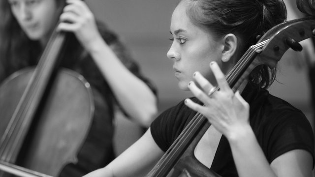 Stock female cellist - gender study