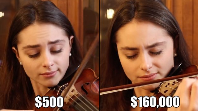 cheap and expensive violin bow