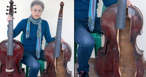 Myrna viola da gamba damage