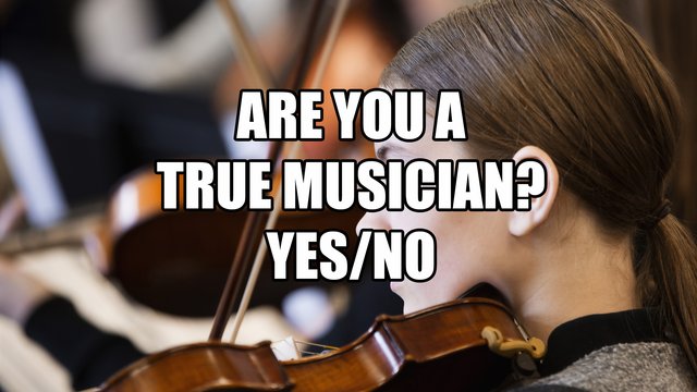 true musician quiz