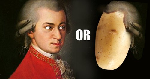 Composer or potato