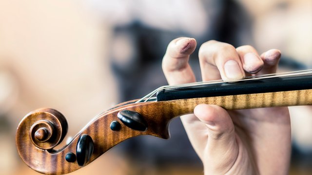 Violin stock photo