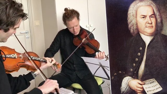 Bach nordic instruments