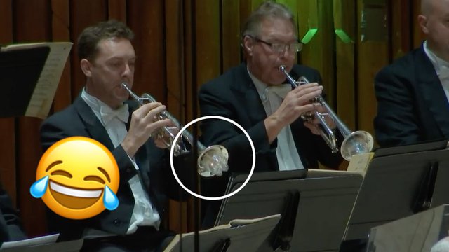 Trumpet plastic bottle mute
