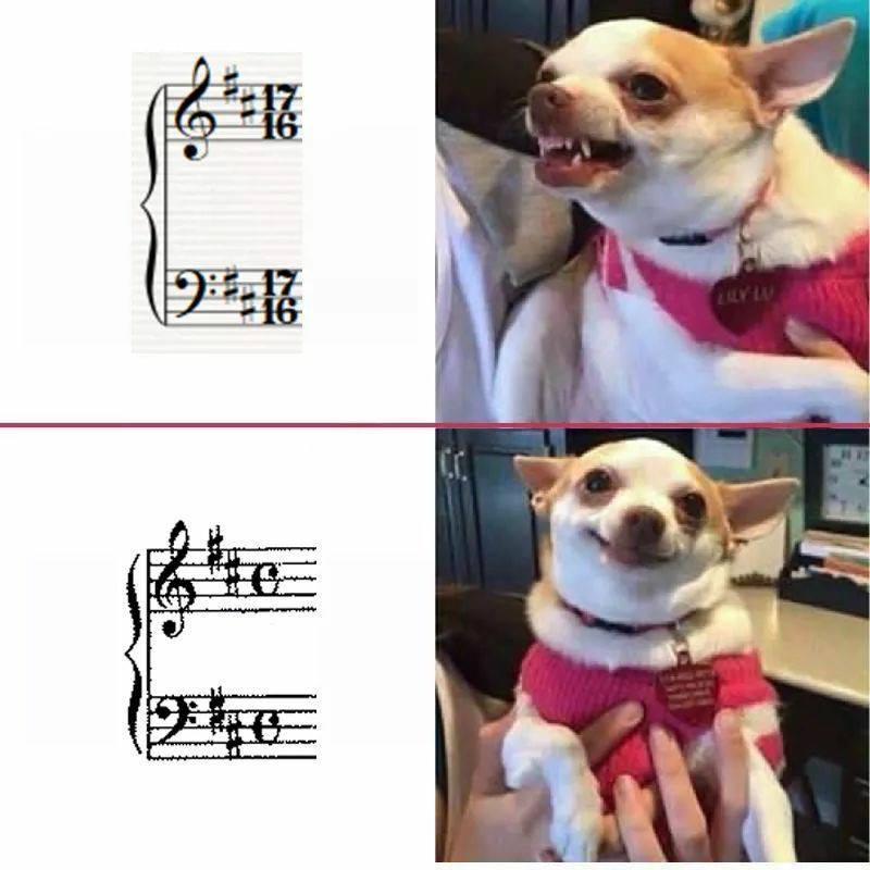 dog chord meme