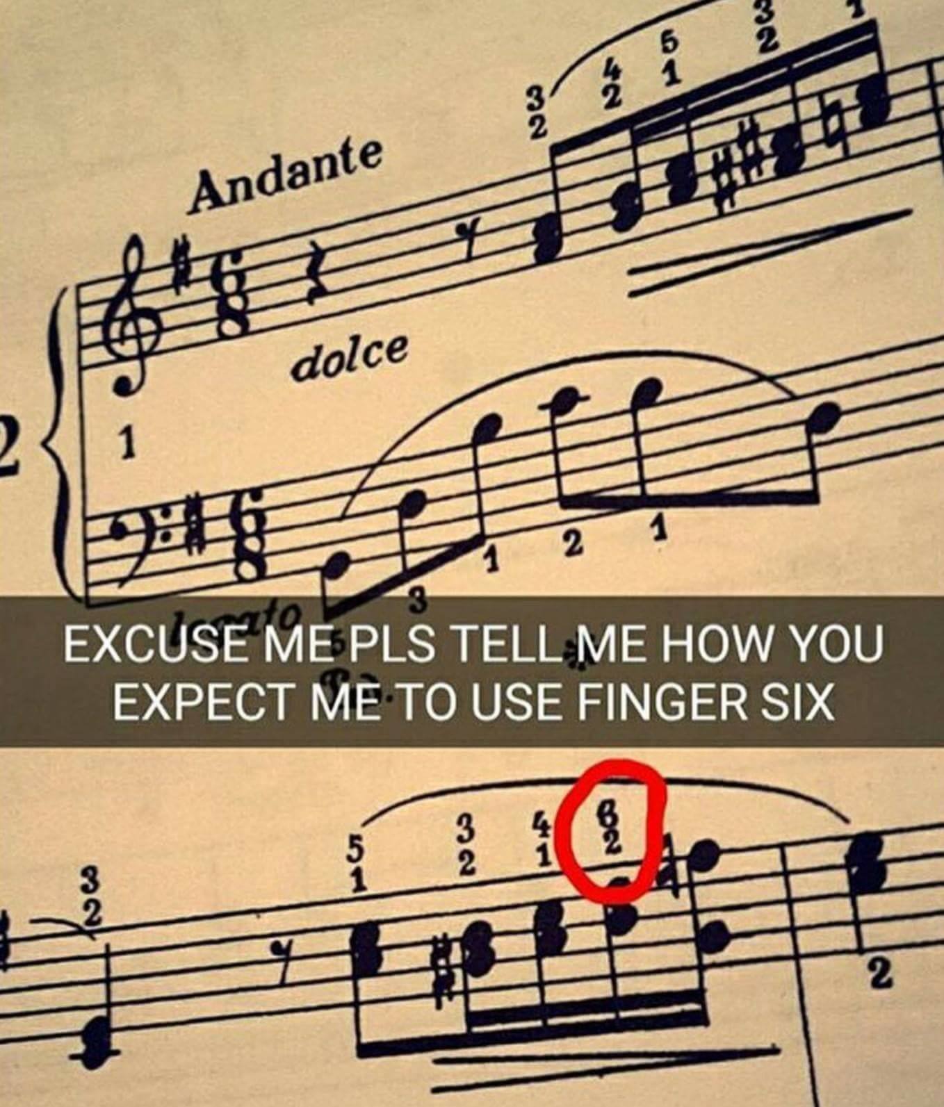 29 classical music memes that will make you chuckle ...