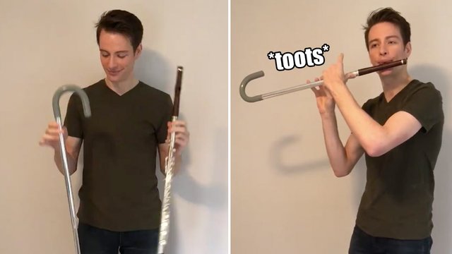Flute walking stick