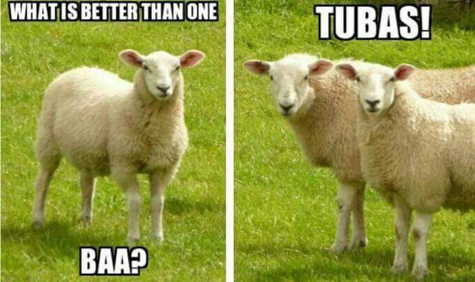 Tubas sheep meme