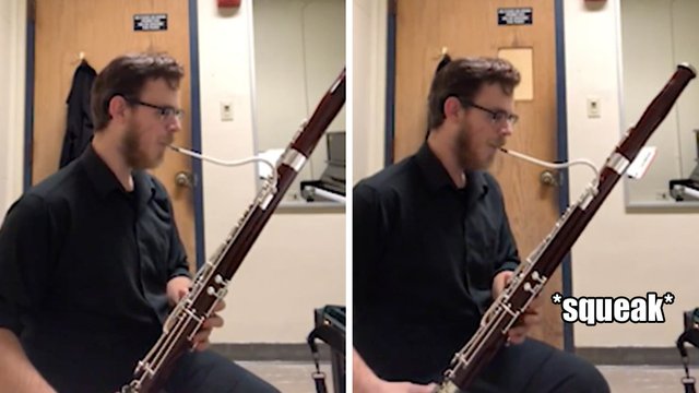 Bassoon squeaky chair