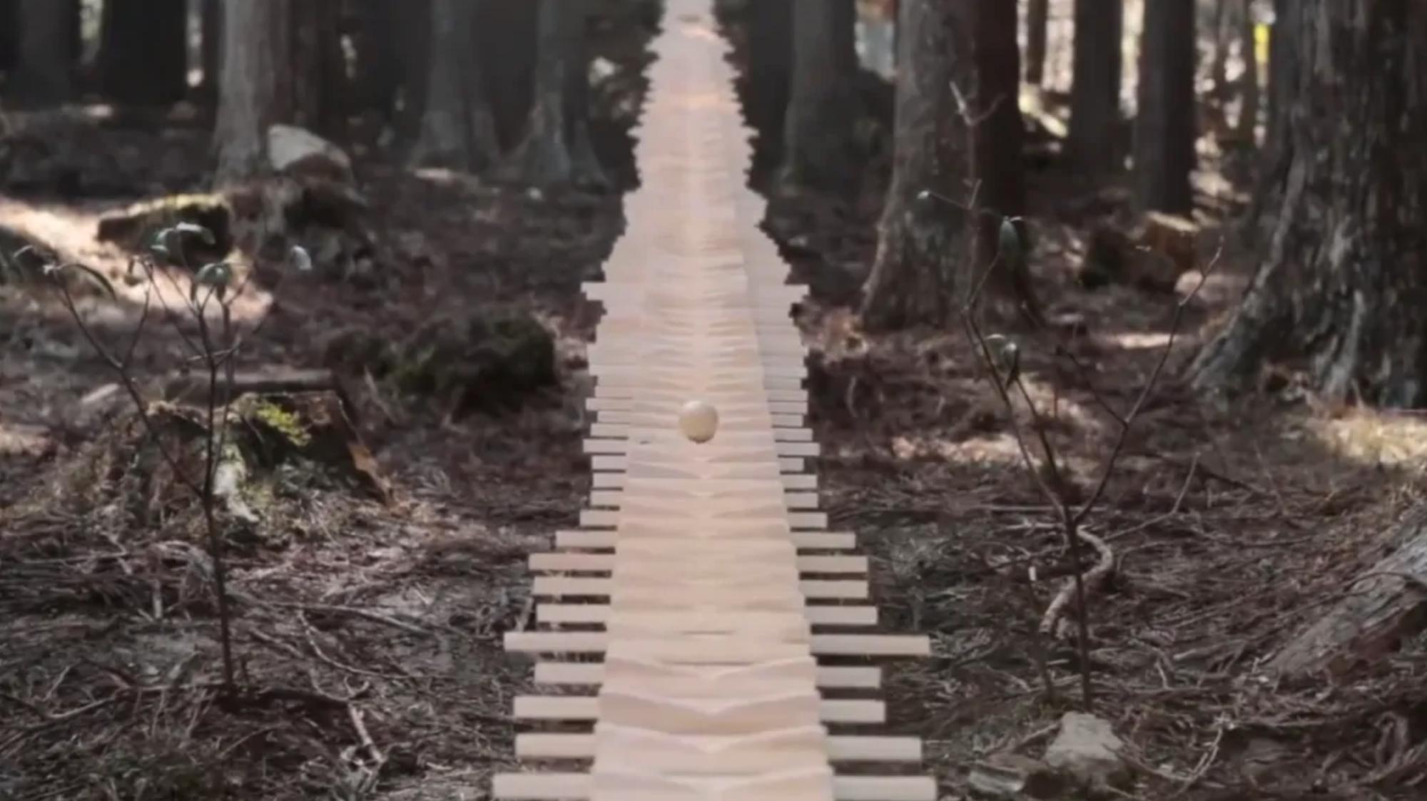 Giant xylophone store in forest