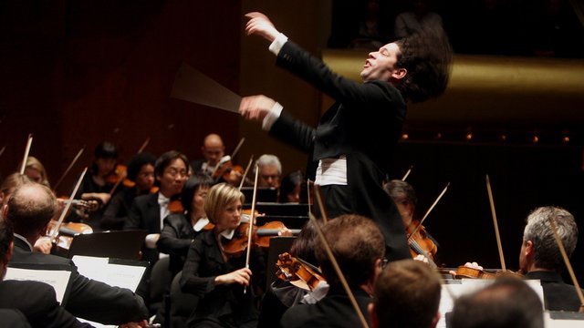 why-do-orchestras-need-a-conductor-classic-fm