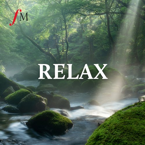 No Stress Ensemble - No Stress - Stress Relief Music (Relaxing